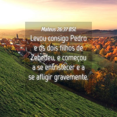 Picture 04 - Mateus 26:37 BSL - Levou consigo Pedro e os dois filhos de Zebedeu, - Bible Verse Picture