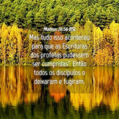 Picture 04 - Mateus 26:56 BSL - Mas tudo isso aconteceu para que as Escrituras - Bible Verse Picture