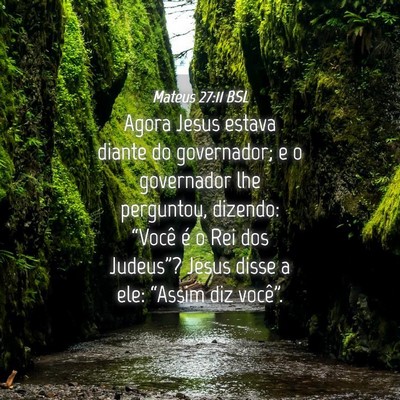 Picture 04 - Mateus 27:11 BSL - Agora Jesus estava diante do governador; e o - Bible Verse Picture