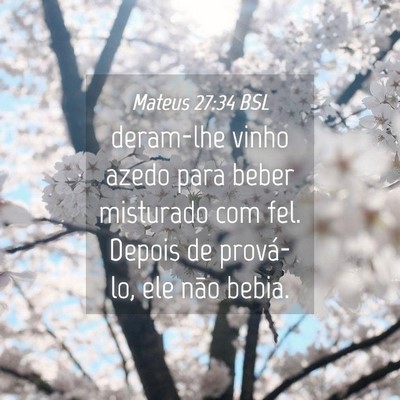 Picture 04 - Mateus 27:34 BSL - deram-lhe vinho azedo para beber misturado com - Bible Verse Picture
