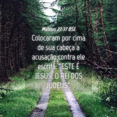 Picture 04 - Mateus 27:37 BSL - Colocaram por cima de sua cabeça a acusação - Bible Verse Picture