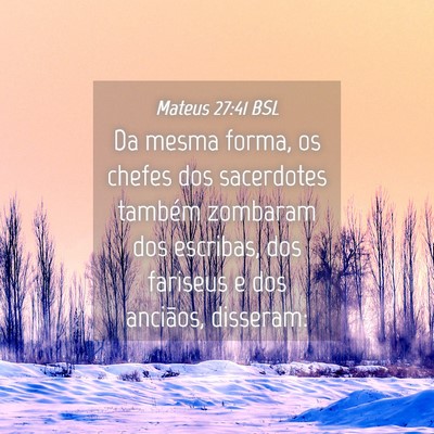 Picture 04 - Mateus 27:41 BSL - Da mesma forma, os chefes dos sacerdotes também - Bible Verse Picture