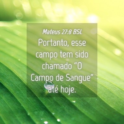 Picture 04 - Mateus 27:8 BSL - Portanto, esse campo tem sido chamado “O Campo - Bible Verse Picture
