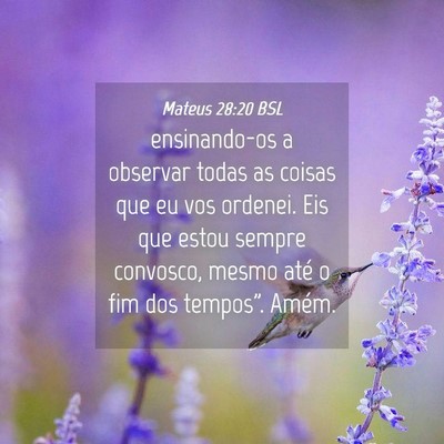 Picture 04 - Mateus 28:20 BSL - ensinando-os a observar todas as coisas que eu - Bible Verse Picture
