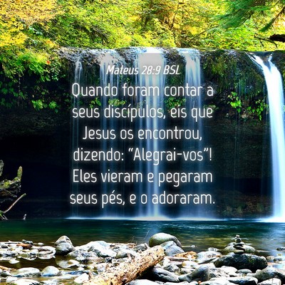 Picture 04 - Mateus 28:9 BSL - Quando foram contar a seus discípulos, eis que - Bible Verse Picture