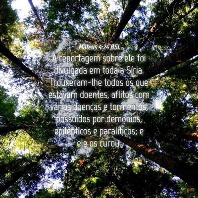 Picture 04 - Mateus 4:24 BSL - A reportagem sobre ele foi divulgada em toda a - Bible Verse Picture