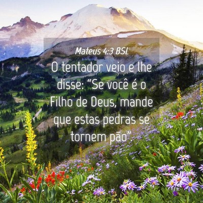 Picture 04 - Mateus 4:3 BSL - O tentador veio e lhe disse: “Se você é o - Bible Verse Picture