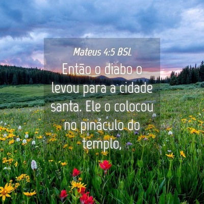 Picture 04 - Mateus 4:5 BSL - Então o diabo o levou para a cidade santa. Ele o - Bible Verse Picture