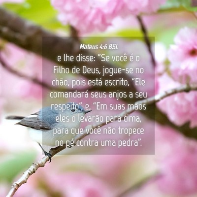 Picture 04 - Mateus 4:6 BSL - e lhe disse: “Se você é o Filho de Deus, - Bible Verse Picture