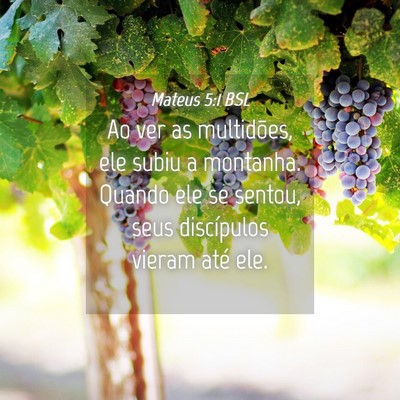 Picture 04 - Mateus 5:1 BSL - Ao ver as multidões, ele subiu a montanha. - Bible Verse Picture