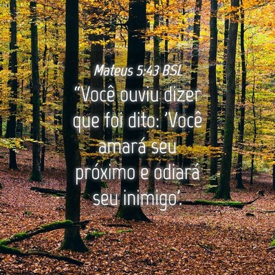 Picture 04 - Mateus 5:43 BSL - “Você ouviu dizer que foi dito: 'Você amará - Bible Verse Picture
