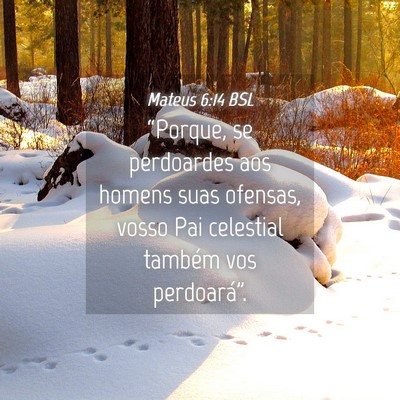 Picture 04 - Mateus 6:14 BSL - “Porque, se perdoardes aos homens suas ofensas, - Bible Verse Picture