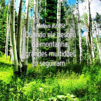 Picture 04 - Mateus 8:1 BSL - Quando ele desceu da montanha, grandes multidões - Bible Verse Picture