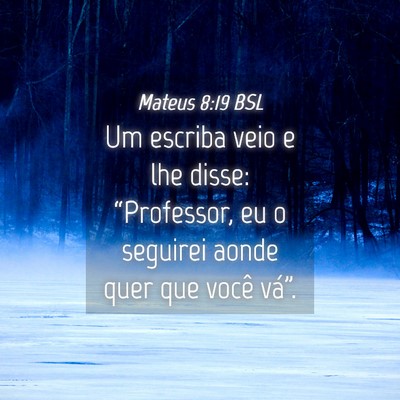 Picture 04 - Mateus 8:19 BSL - Um escriba veio e lhe disse: “Professor, eu o - Bible Verse Picture