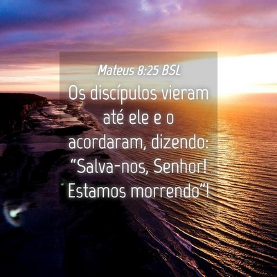 Picture 04 - Mateus 8:25 BSL - Os discípulos vieram até ele e o acordaram, - Bible Verse Picture