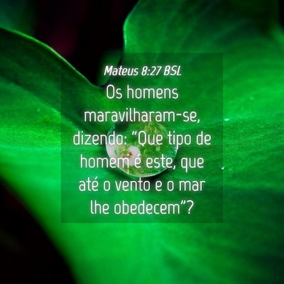 Picture 04 - Mateus 8:27 BSL - Os homens maravilharam-se, dizendo: “Que tipo - Bible Verse Picture