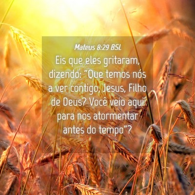 Picture 04 - Mateus 8:29 BSL - Eis que eles gritaram, dizendo: “Que temos nós - Bible Verse Picture