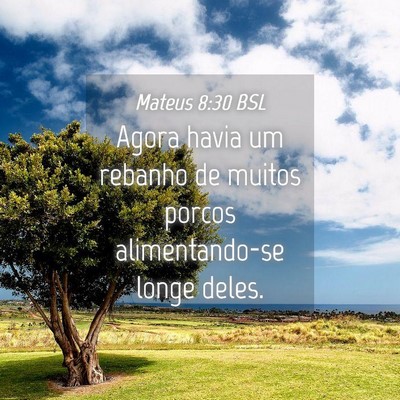Picture 04 - Mateus 8:30 BSL - Agora havia um rebanho de muitos porcos - Bible Verse Picture