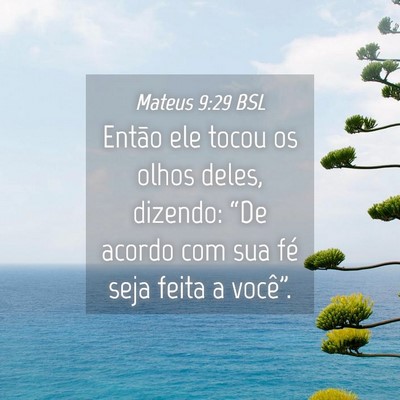 Picture 04 - Mateus 9:29 BSL - Então ele tocou os olhos deles, dizendo: “De - Bible Verse Picture