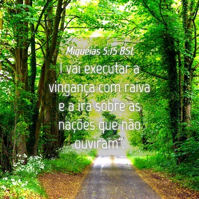Picture 04 - Miquéias 5:15 BSL - I vai executar a vingança com raiva e a ira - Bible Verse Picture