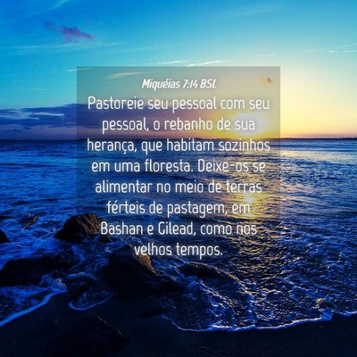Picture 04 - Miquéias 7:14 BSL - Pastoreie seu pessoal com seu pessoal, o rebanho - Bible Verse Picture