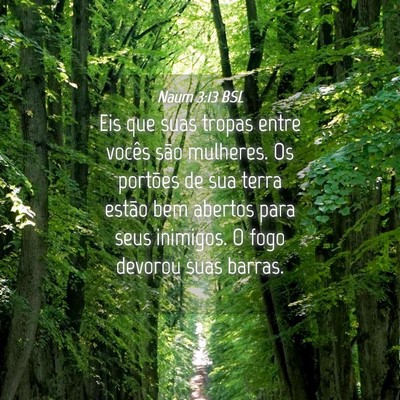 Picture 04 - Naum 3:13 BSL - Eis que suas tropas entre vocês são mulheres. - Bible Verse Picture