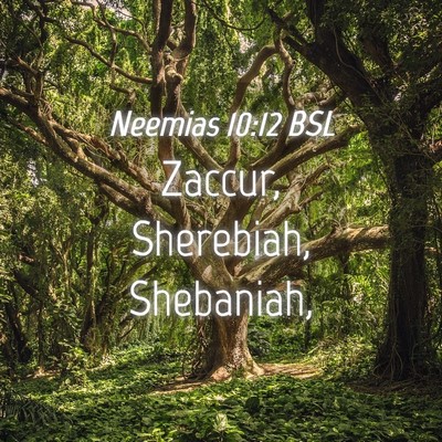 Picture 04 - Neemias 10:12 BSL - Zaccur, Sherebiah, - Bible Verse Picture