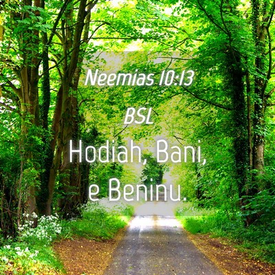Picture 04 - Neemias 10:13 BSL - Hodiah, Bani, e - Bible Verse Picture