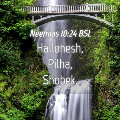 Picture 04 - Neemias 10:24 BSL - Hallohesh, Pilha, - Bible Verse Picture