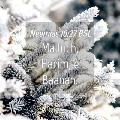 Picture 04 - Neemias 10:27 BSL - Malluch, Harim, e - Bible Verse Picture