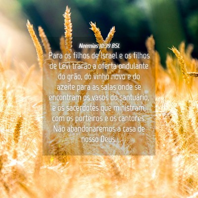 Picture 04 - Neemias 10:39 BSL - Para os filhos de Israel e os filhos de Levi - Bible Verse Picture
