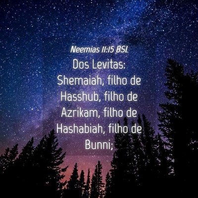 Picture 04 - Neemias 11:15 BSL - Dos Levitas: Shemaiah, filho de Hasshub, filho de - Bible Verse Picture