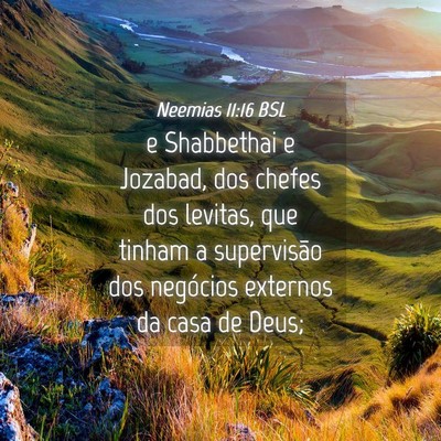 Picture 04 - Neemias 11:16 BSL - e Shabbethai e Jozabad, dos chefes dos levitas, - Bible Verse Picture