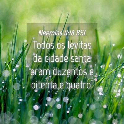 Picture 04 - Neemias 11:18 BSL - Todos os levitas da cidade santa eram duzentos e - Bible Verse Picture