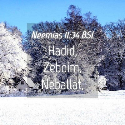 Picture 04 - Neemias 11:34 BSL - Hadid, Zeboim, - Bible Verse Picture