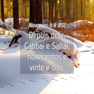Picture 04 - Neemias 11:8 BSL - Depois dele, Gabbai e Sallai, novecentos e vinte - Bible Verse Picture