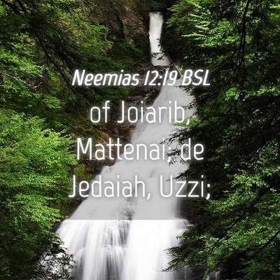 Picture 04 - Neemias 12:19 BSL - of Joiarib, Mattenai; de Jedaiah, - Bible Verse Picture