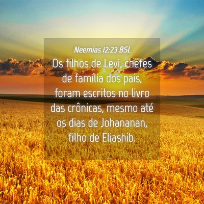 Picture 04 - Neemias 12:23 BSL - Os filhos de Levi, chefes de família dos pais, - Bible Verse Picture