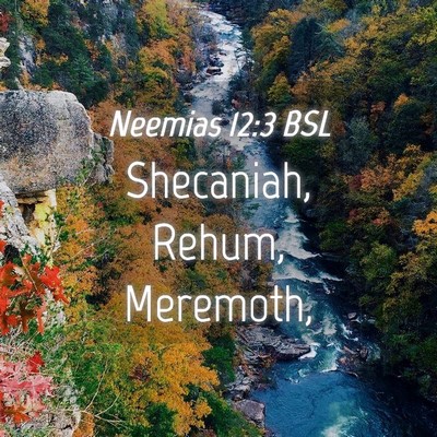Picture 04 - Neemias 12:3 BSL - Shecaniah, Rehum, - Bible Verse Picture