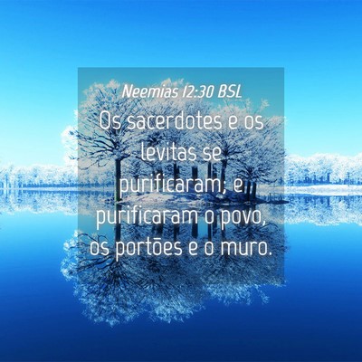 Picture 04 - Neemias 12:30 BSL - Os sacerdotes e os levitas se purificaram; e - Bible Verse Picture