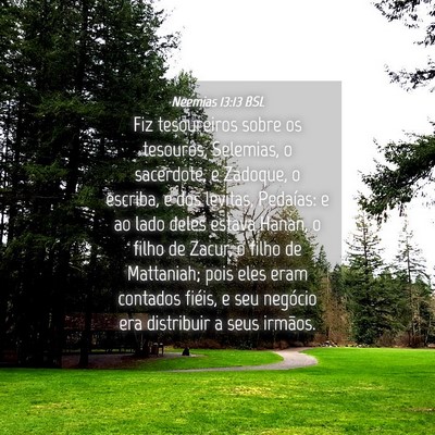 Picture 04 - Neemias 13:13 BSL - Fiz tesoureiros sobre os tesouros, Selemias, o - Bible Verse Picture