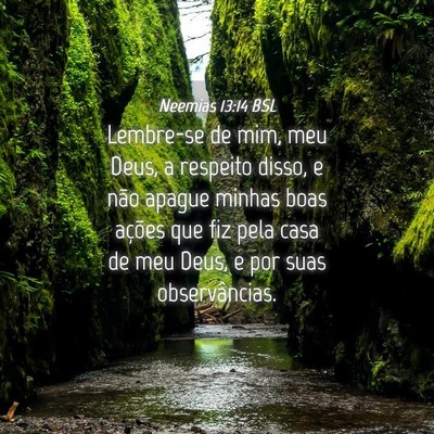 Picture 04 - Neemias 13:14 BSL - Lembre-se de mim, meu Deus, a respeito disso, e - Bible Verse Picture