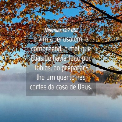 Picture 04 - Neemias 13:7 BSL - e vim a Jerusalém, e compreendi o mal que - Bible Verse Picture