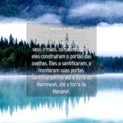 Picture 04 - Neemias 3:1 BSL - Então Eliashib, o sumo sacerdote, levantou-se - Bible Verse Picture