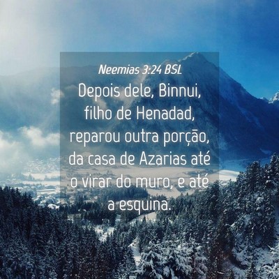 Picture 04 - Neemias 3:24 BSL - Depois dele, Binnui, filho de Henadad, reparou - Bible Verse Picture