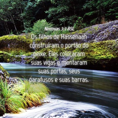 Picture 04 - Neemias 3:3 BSL - Os filhos de Hassenaah construíram o portão do - Bible Verse Picture