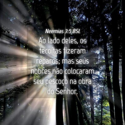 Picture 04 - Neemias 3:5 BSL - Ao lado deles, os tecoítas fizeram reparos; mas - Bible Verse Picture