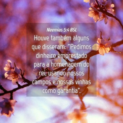 Picture 04 - Neemias 5:4 BSL - Houve também alguns que disseram: “Pedimos - Bible Verse Picture