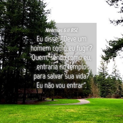Picture 04 - Neemias 6:11 BSL - Eu disse: “Deve um homem como eu fugir? Quem, - Bible Verse Picture