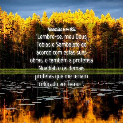 Picture 04 - Neemias 6:14 BSL - “Lembre-se, meu Deus, Tobias e Sambalate de - Bible Verse Picture